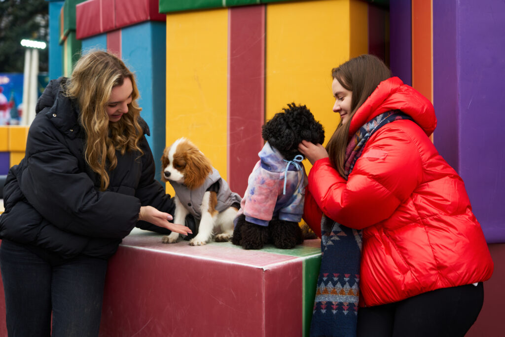 Mequon Dog Training Classes