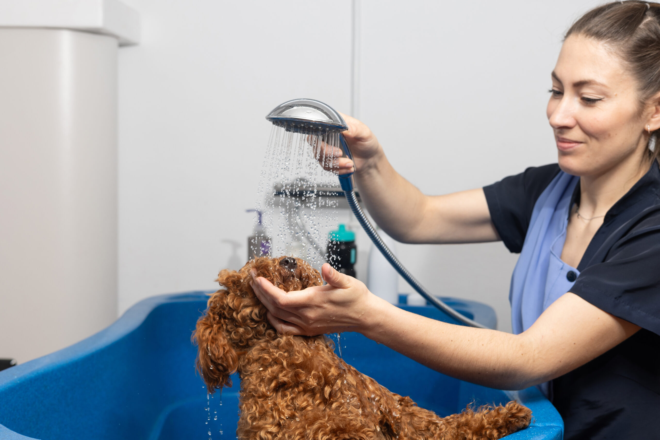 dog bathing service in Mequon