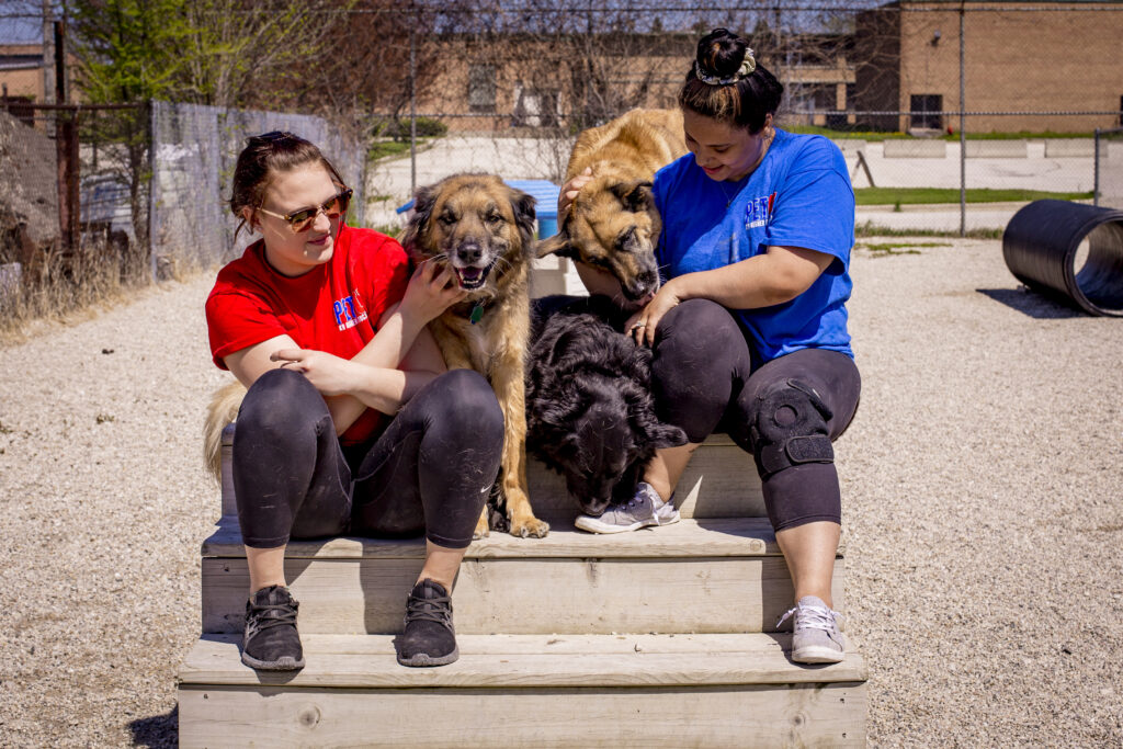 Best holiday boarding in Milwaukee, Mequon, Racine for your dog