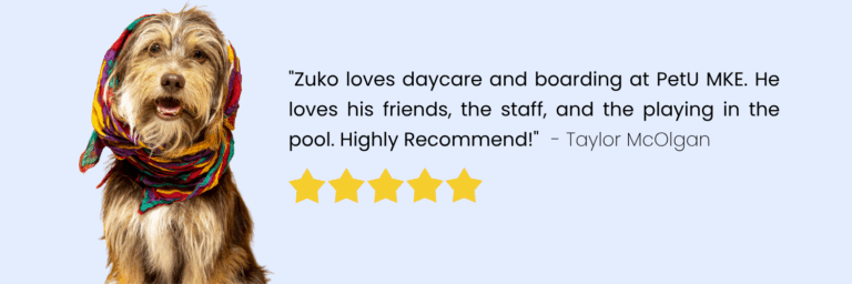 PetU testimonial (3)