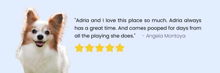 PetU testimonial (4)