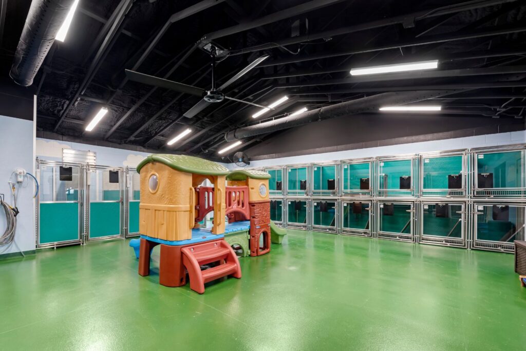 Daycare, Boarding & Training