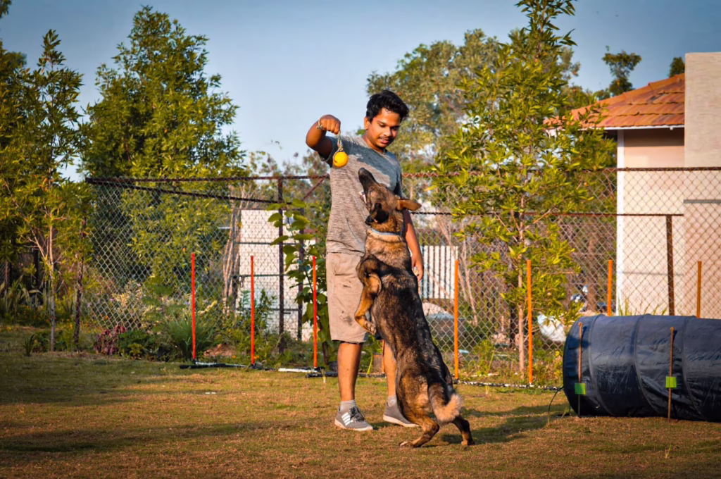 dog training near me